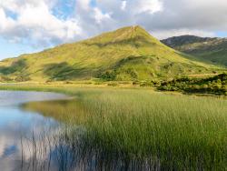 NP Connemara