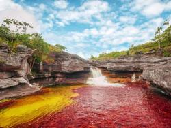 Caño Cristales