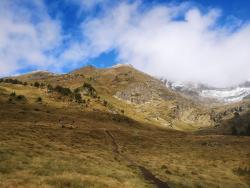 cesta k Estany de Cabana Sorda