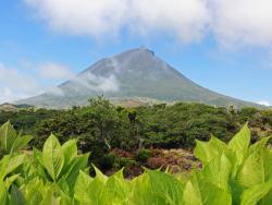 Montanha do Pico