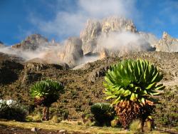 NP Mount Kenya