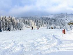 Zimní pohled na zasněžené svahy 