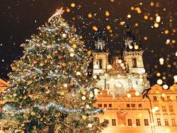 Nazdobený vánoční stromeček