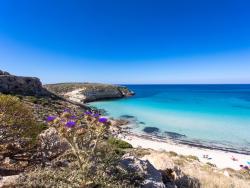 Spiaggia dei Conigli v Itálii