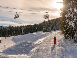 Rakousko: Zimní sporty za výhodnou cenu