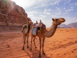 Wadi Rum velbloudi