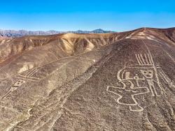 Nazca obrazce