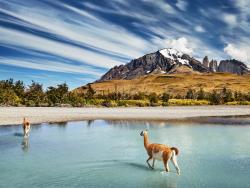 trek v Torres del Paine