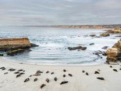 Skalnatá zátoka u Tichého oceánu