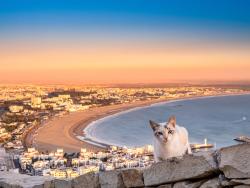 Panoramatický pohled na město Agadir 