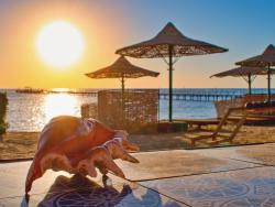 Pláž při západu slunce s lehátky a slunečníky