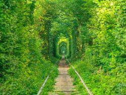 Tunnel of Love Ukraine