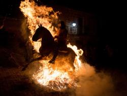 Koně skákající před oheň.