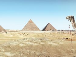 Egyptské highlighty