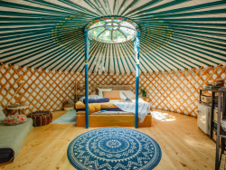 Yurt in the Wood