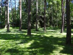 Borový les na hřbitově Skogskyrkogarden, jih Stockholmu ve Švédsku.  - Cestovinky.cz