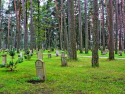 Cesta v borovém lese na hřbitově Skogskyrkogarden, jih Stockholmu ve Švédsku.  - Cestovinky.cz