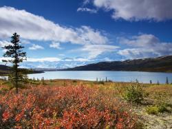 Denali - Wonder Lake na Aljašce - Cestovinky.cz