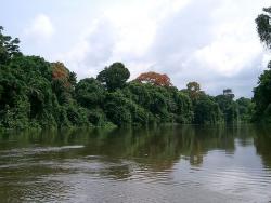 Malebná příroda a řeka Dja v chráněném území rezervace Dja v Kamerunu. - Cestovinky.cz