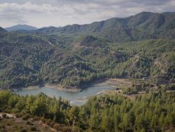 Troodos a jeho lesní bohatství  - Cestovinky.cz