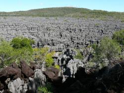 Pohled na tsingy v rezervaci Ankarana na ostrově Madagaskar - Cestovinky.cz