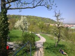 Petřín z parku Sacré Coeur - Cestovinky.cz