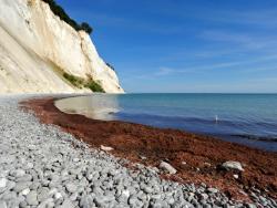 útes Møns Klint - Cestovinky.cz