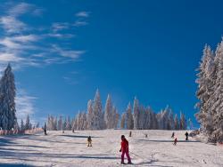 ski areál Lipno - Cestovinky.cz