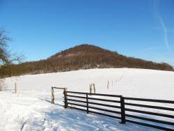 Boreč - Cestovinky.cz